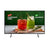 LFD 55" BED Series TV