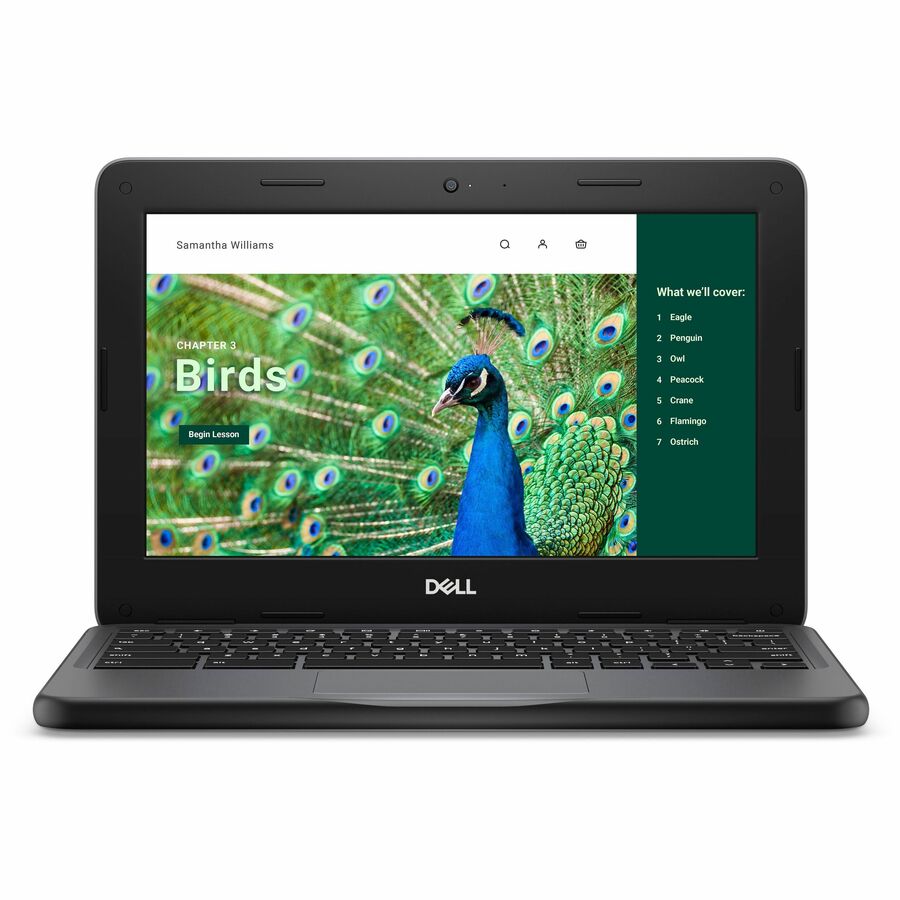 Dell Chromebook 3000 3120 11.6" Touchscreen Convertible 2 in 1 Chromebook - HD - Intel N-Series N100 - 8 GB - 64 GB Flash Memory - English (US) Keyboard