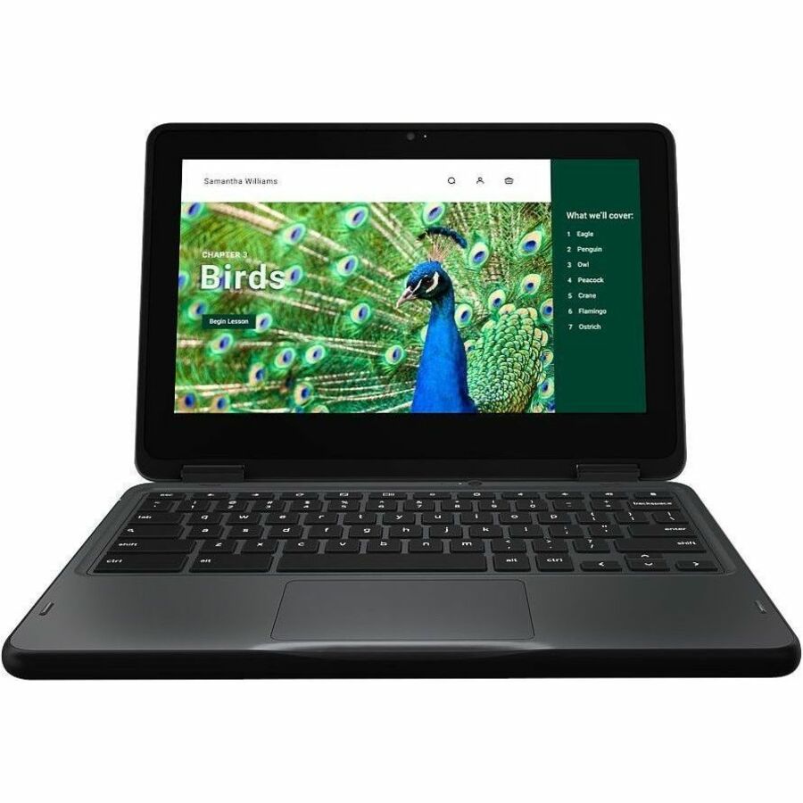 Dell Chromebook 3000 3120 11.6" Touchscreen Clamshell Chromebook - HD - 60 Hz - Intel N-Series N100 - 8 GB - 64 GB Flash Memory - English (US) Keyboard