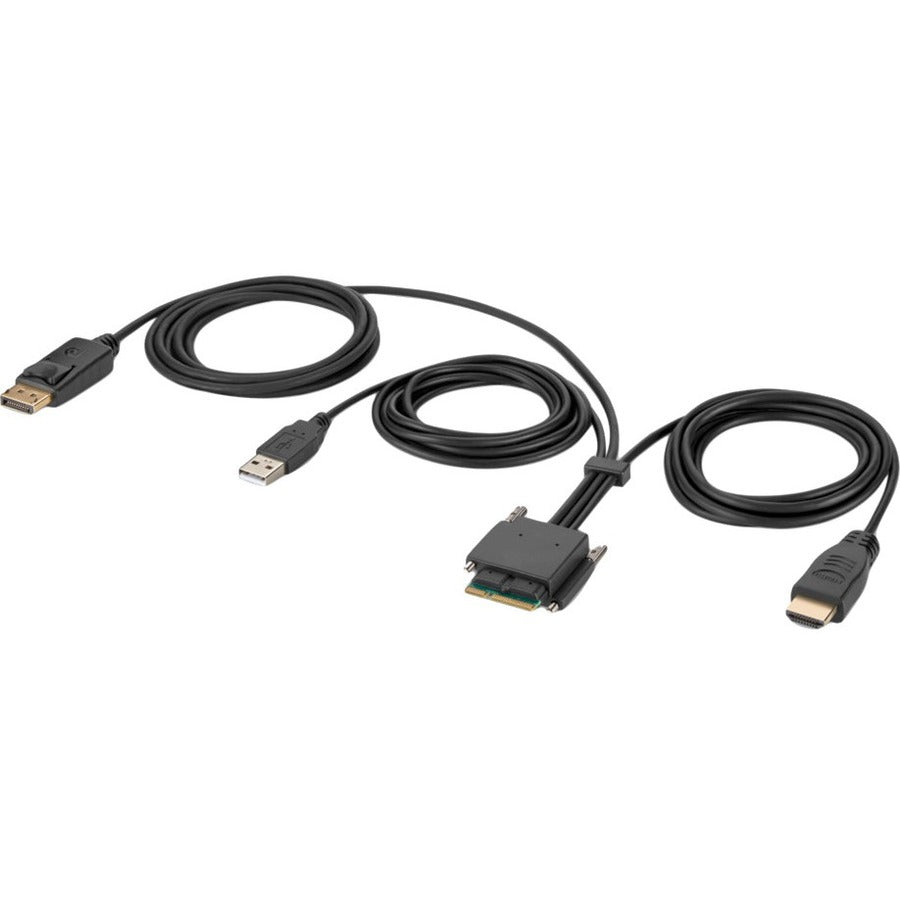 Belkin Modular HDMI and DP Dual-Head Host Cable 6 ft.