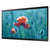24in Com 4k LED/LCD Disp MInf